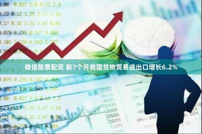 微信股票配资 前7个月我国货物贸易进出口增长6.2%