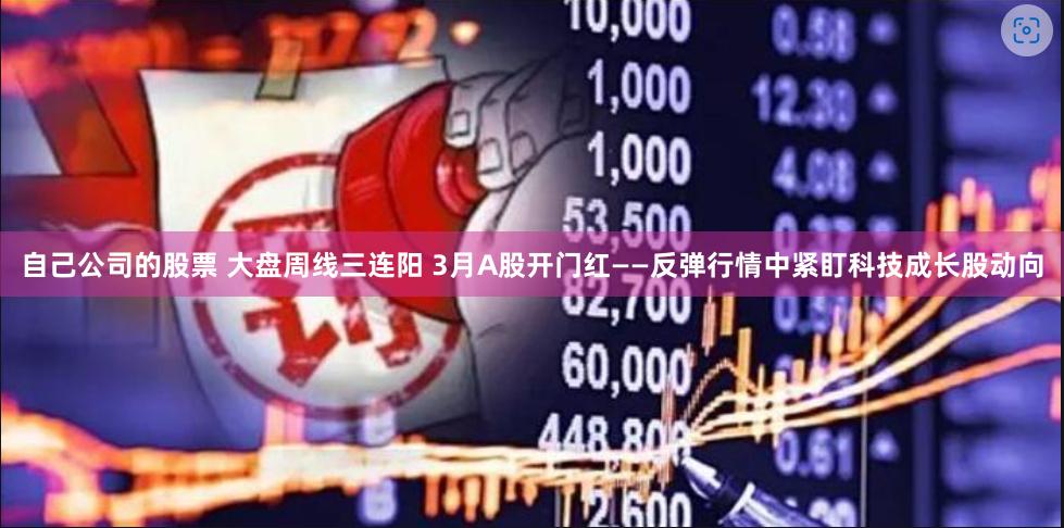 自己公司的股票 大盘周线三连阳 3月A股开门红——反弹行情中紧盯科技成长股动向