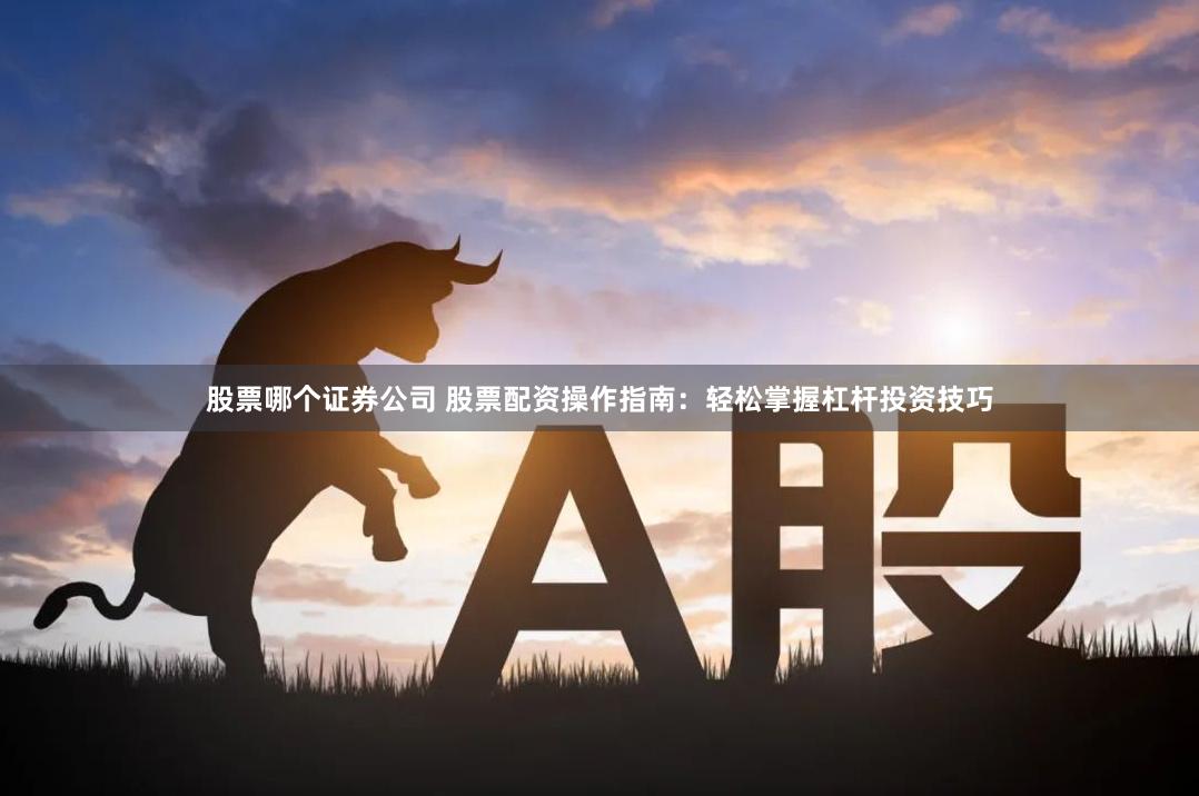 股票哪个证券公司 股票配资操作指南：轻松掌握杠杆投资技巧