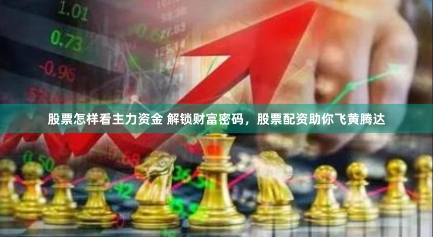 股票怎样看主力资金 解锁财富密码，股票配资助你飞黄腾达